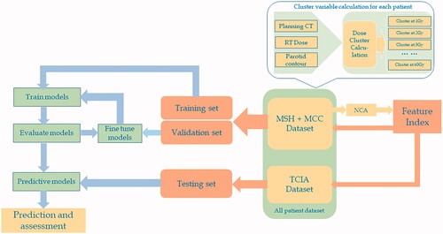 Figure 2. Flow chart of the machine learning predictive models based on the dose clusters that incorporate the spatial dose distribution within the parotid gland. NCA: neighborhood component analysis; MCC: Moffitt Cancer Center; MSH: Mount Sinai Hospital.