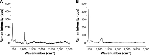Figure S1 Raman spectra of ZnO NPs.Notes: Raman spectra of (A) 10 nm and (B) 71 nm ZnO NPs.Abbreviation: NP, nanoparticle.