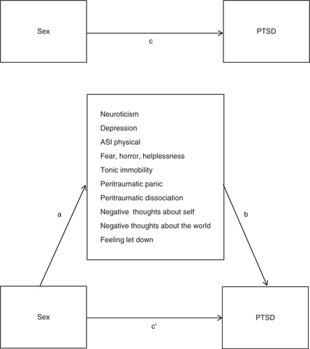 Fig. 1 Illustration of a multiple mediation model of sex differences in PTSD. Path c represents the total effect. Path c′ represents the direct effect. Paths a + b represent the indirect effect of sex on PTSD through the mediators. The strength of the mediation is the difference between c and c′. Mediation occurs when path c is statistically significant but becomes non-significant after adjusting for the mediators, resulting in a non-significant path c′.