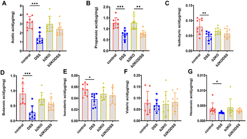 Figure 4 Changes in SCFA levels. (A–G) The content of SCFAs (acetic acid, propanoic acid, isobutyric acid, butanoic acid, isovaleric acid, valeric acid and hexanoic acid) in the four groups on Day 63. All data are expressed as the mean ± SD (n = 8 mice/group). Statistical significance is indicated as follows: *p < 0.05, **p < 0.01, and ***p < 0.001.