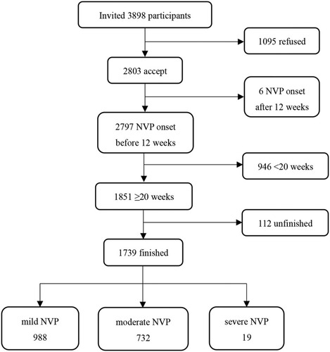 Figure 1 The procedure of sampling. (NVP, nausea and vomiting during pregnancy.).