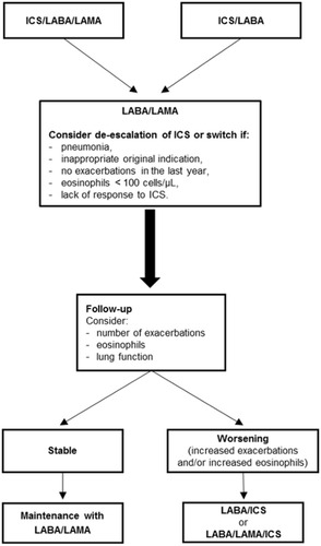 Figure 2 Decisional tool to guide the most appropriate management of COPD. Stable disease is defined as no acute exacerbation of symptoms in the past year.