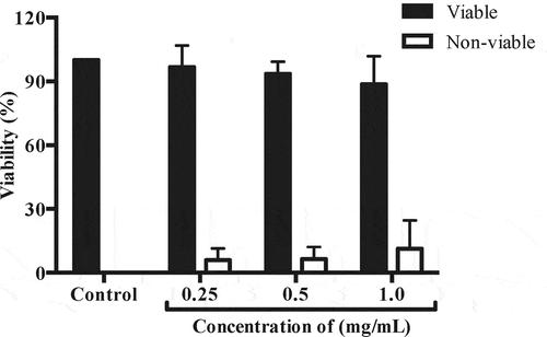 Figure 1. Effect of different concentrations of aqueous crude extract of Echeveria gibbiflora (OBACE) against the viability of mouse spermatozoa. The immobilization/agglutination effect produced by OBACE suggests cellular death, nevertheless about 2.5% and 7% of the cells showed red fluorescence (non- viable) on the lowest concentrations (0.25 and 0.5 mg/mL), respectively, and even in the highest concentrations (1 mg/mL) only 13% of the cells showed red fluorescence. There was no meaningful difference compared with the control sample. p = 0.4767. Values are expressed as mean ± SEM (n = 3). Statistical significance of the results was determined using one-way ANOVA followed by Dunnett test. Differences were considered significant at p < 0.05.
