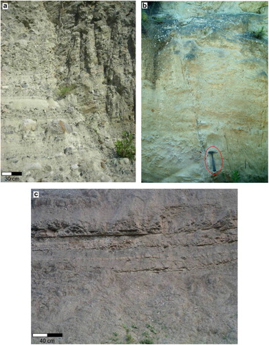 Figure 2. The Autochthonous succession: (a) Coarse-grained sandstone with interbedded conglomerate intervals of San Nicola Formation (Serravallian–Tortonian) and sandstone of Clypeaster Molasse (b); (c) thin stratified diatomites and cherty clay of Tripoli Formation (Lower Messinian).