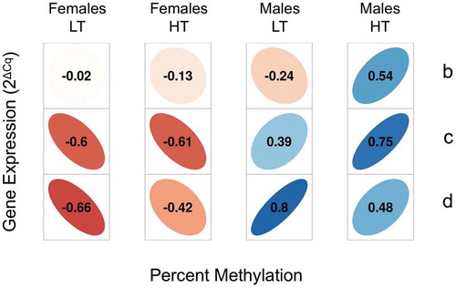 Figure 4. Correlations of expression of cyp19a1a and mean DNA methylation of the five central CpGs of its promoter. Correlations between cypa19a1a expression and promoter DNA methylation are shown by Spearman’s rank correlation coefficient (ρ) in the gonads of female and male offspring of sires b, c and d reared at low (LT) or high temperature (HT). There was insufficient data for offspring of sire a. The direction of the long axis of the ellipses and the color indicate the type of correlation, with negative shown in shades of red and positive shown in blue. The short axis of the ellipse and the color intensity are proportional to the correlation coefficients.