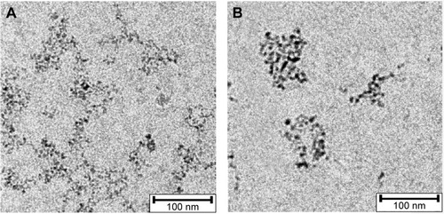 Figure 4 Overview TEM image of SPIONCMD (A) and SPIONCMD-Hyp (B) particles show agglomerates of SPIONs.Abbreviations: TEM, transmission electron microscopy; SPIONCMD, functionalized dextran-coated SPIONs; SPION, superparamagnetic iron oxide nanoparticle; SPIONCMD-Hyp, hypericin linked to SPIONCMD.