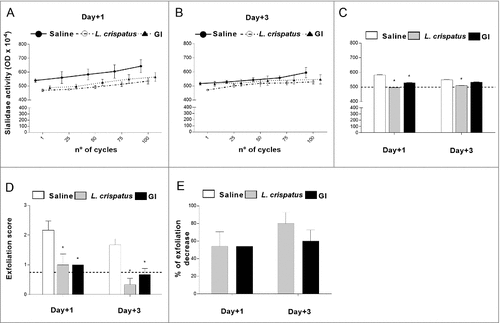 Figure 2. Effect of GI treatment on G. vaginalis sialidase activity and epithelial exfoliation G. vaginalis-induced. Sialidase activity and epithelial exfoliation were determined in vaginal washes of mice, treated intravaginally with 10 μl of Saline, or L. crispatus (2 × 109/ml) or GI (108/ml) and infected with G. vaginalis (5 × 107 /20 μl/mouse) as described in Materials and Methods, at days +1 and +3 post-infection. (A, B, C) Optical density, of sialidase activity, was determined as described in Materials and Methods. (A, B) Lines are representative of experiments (n = 2) with similar results. (C) Bars are the mean ± SEM from 2 independent experiments each with 6 mice/group. The dashed line represents the optical density of sialidase activity from vaginal washes of not-infected mice. #p < 0.05 L. crispatus- or GI-treated mice vs Saline-treated mice. (D) Epithelial exfoliation score has been evaluated by assigning a value from 0 to 3, with 0 = cells number < 25 and 3 = cells number > 75. The dashed line represents the exfoliation score from vaginal washes of not-infected mice. Data are the mean ± SEM from 2 independent experiments each with 6 mice/group. #p < 0.05 L. crispatus- or GI-treated mice vs Saline-treated mice. (E) Percentage of epithelial exfoliation decrease was quantified in respect to mice treated with Saline.