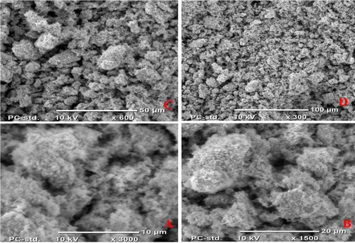 Figure 6. SEM image of compound (2) in different size ranges, A-D (10, 20, 50, and 100 µm).