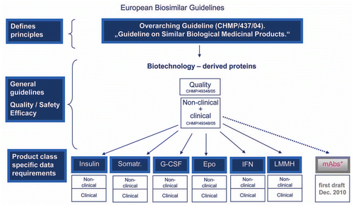 Figure 1 European biosimilar guidelines. The EMA began with an overarching guideline on biosimilars and then general guidelines, before issuing product class specific data requirements. The EU Guidelines that have been finalized are indicated in blue. A draft guideline for mAbs is currently available for public comment.Citation25