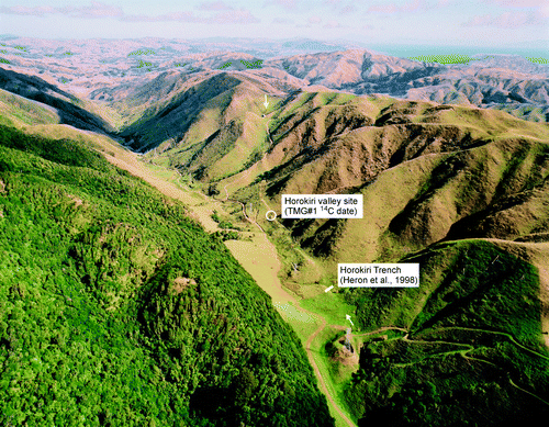 Fig. 4  Oblique aerial view of Horokiri valley (locally called Transmission Gully) showing the location of the Horokiri valley site described here. Yellow arrows denote the surface trace of the Ohariu Fault. (Photo: Lloyd Homer, GNS Science, CN 14101/11)