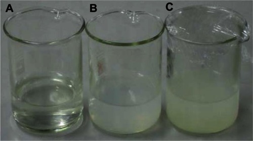 Figure 1 A photograph illustrating the difference in visual turbidity between: (A) casein (CAS) solution and ionically crosslinked CAS nanoparticles prepared with (B) 1:10 and (C) 1:5 sodium tripolyphosphate (TPP):CAS mass ratios.