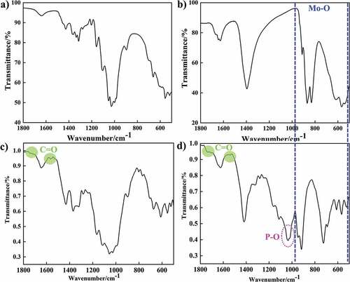 Figure 3. (a) the FT-IR of CF in the range of 500–1800 cm −1; (b) the FT-IR of (NH4)6Mo7O24·4 H2O in the range of 500–1800 cm −1; (c) the FT-IR of CMCF in the range of 500–1800 cm −1; (d) the FT-IR of CCF in the range of 500–1800 cm −1.