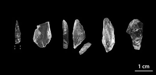 Figure 8. Mesolithic artifacts, from left to right: Sauveterre-point, Microburin, Scalene triangle, Micro-point, Micro-scraper (figure by T. Hess).