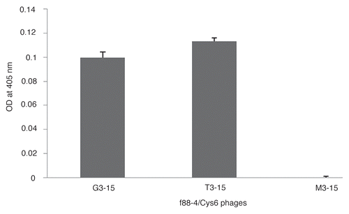 Figure 1 The results of phage ELISA measurements of relative binding of G3-15, T3-15 and the control phage M3-15 to TAG-72. Both study phages showed similar binding to TAG-72 compared to the control. The data is presented as the mean of three replicates with one SD represented by the error bars.