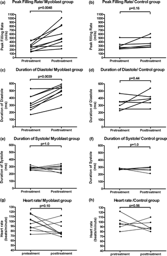 Figure 5.  Peak filling rate (panels A and B) increased significantly in myoblast-transplanted animals, but not in control animals. Duration of diastole (panels C and D) is the phase between end systole and end diastole in the cardiac cycle. Diastolic duration improved significantly in myoblast-transplanted animals. A similar improvement was not seen in control animals. Duration of systole (panels E and F) or heart rate (panels G and H) did not change between the study points in either group.