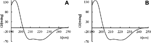 Figure 1. The UV spectrum before and after lyophilization (n = 5). A: UV spectrum before lyophilization; B: UV spectrum after lyophilization.