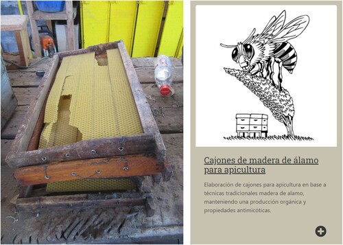 Figure 2. Poplar wood crates for beekeeping. Original photo presented in the catalog.Source: Catálogo de Tecnologías Locales para la Acción Climática (www.tecnologiaslocales.cl).