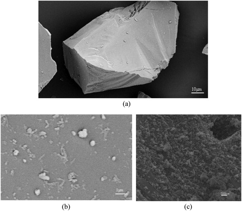 Figure 7. 3D depiction of (a) pure alumina microparticle, (b) surface of pure alumina microparticle and (c) surface of AACNS.