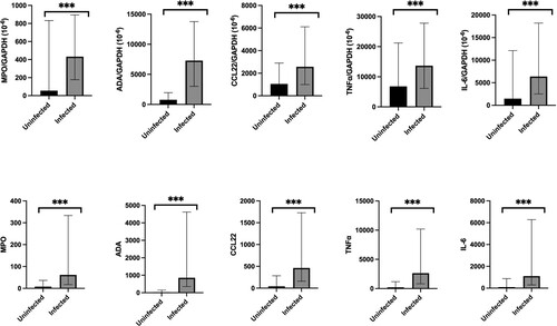 Figure 2. Comparison of normalized and total MPO, ADA, CCL22, TNFα, and IL-6 mRNA expression in nasopharyngeal specimens between COVID-19 infected and uninfected individuals. The bar represents the median of the samples, the hinges mark the interquartile range. *p < 0.05, **p < 0.005, ***p < 0.001.