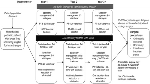 Figure 2. Model treatment pathwayCitation22.