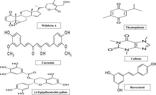 Figure 2 Chemical structure of bioactive molecules with potential anti-dementia activity.