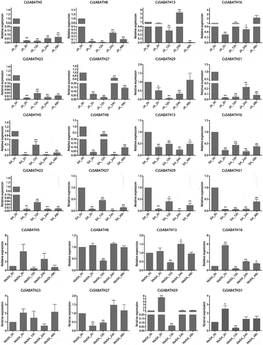 Figure 7. The relative expression levels of CsSABATHs at different time points after JA, SA and MeSA treatments in tea leaves. The bars represent the mean+SE (n = 3). Significant differences between the treatments and CK were determined by Student’s t test (*p < .05, **p < .01).