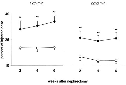 Figure 3. Kidney uptake of 131I-β2-microglobulin (radioactivity of total left kidney, percent of the injected dose) in uninephrectomized rats (•) and in controls (○) 2, 4 and 6 weeks after nephrectomy. On the left the values at the 12th min after i.v. injection of 131I-β2-microglobulin (peak-time); on the right those at the 22nd min. Mean values ± SD, **p < 0.001.