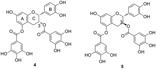 Fig. 6. Strong inhibitor of the proliferation of HeLa S3 cells (4) and an ineffective compound (5).