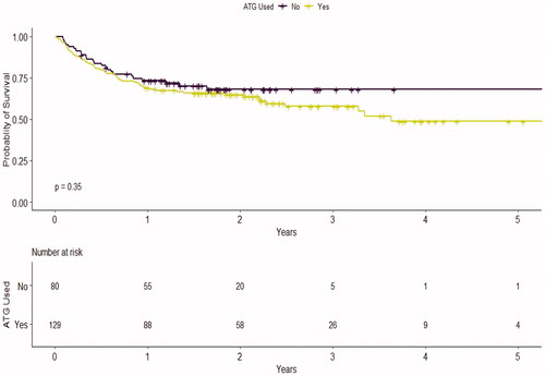 Figure 1. Kaplan–Meier survival curve for overall survival by ATG group.