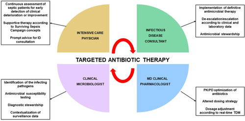 Figure 1 Features of multidisciplinary taskforce involved in implementation of targeted antimicrobial therapy in critically ill patients.