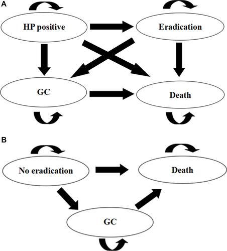 Figure 1 The Markov model was used to compare two strategies comprising health states. (A) Eradication therapy group. (B) No eradication therapy group.
