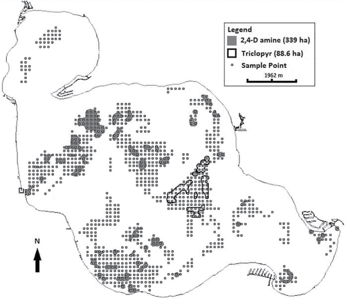 Figure 1. Map of auxinic herbicide treatment and point-intercept sampling locations for Houghton Lake, Michigan, in 2014. Each point is a sample point in a 996 point-intercept grid. The northern bay was left untreated due to presence of wild rice (Zizania palustris).