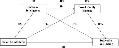 Figure 1 Conceptual framework.