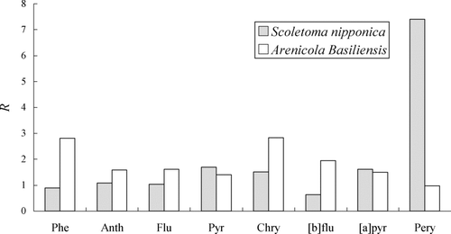 FIGURE 4 Degree of PAH accumulation, R, by Scoletoma nipponica and Arenicola basiliensis.