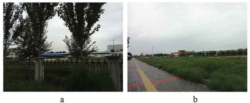 Figure 5. (a) Vacant land enclosed by a factory in Jingfeng Industrial Zone; (b) Wide “green belt” that surrounds the new campus in Vocational Training Zone. Photographed by author in Aug. 2017
