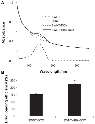 Figure 3 (A) Ultraviolet-visible absorbance spectra of PEGylated SWNTs (dotted line), free DOX (dash-dotted line), SWNT-DOX (dash line), and SWNT-HBA-DOX (solid line) in H2O. (B) Drug weight loading of the DOX-conjugated SWNTs.Notes: All values are mean ± standard deviation; *denotes P < 0.05.Abbreviations: DOX, doxorubicin; HBA, hydrazinobenzoic acid; PEG, polyethylene glycol; SWNT, single-walled carbon nanotube.