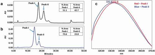 Figure 7. Analysis of mAb-1 using HIC. mAb-1 demonstrated two main peaks (peak I and peak II) in HIC analysis, and the two main peaks exhibited different intrinsic fluorescence. pH dependence of the interconversion of peak-I and peak-II were demonstrated using HIC by increasing the initial pH of the mobile phase. (a) HIC chromatographs of intact mAb-1 using acidic (pH 4.6) mobile phase. (b) HIC chromatographs of intact mAb-1 using near neutral mobile phase (pH 6.4). (c) Fluorescence profile of peak-I and peak-II