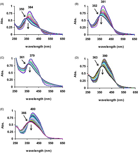 Figure 3. Overlaid spectra recorded during the HRP reaction with (A) 3a, (B) 3b, (C) 3c, (D) 3d, (E) 3e in PBS (0.01 M, pH 7) at 20 °C.