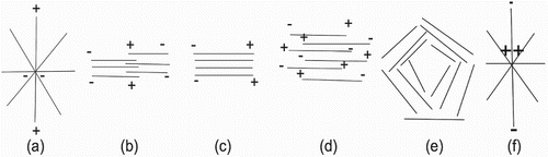 Figure 1. Schematic of examples of MT organization in vivo and in vitro. In vivo organizations include (a) an aster with minus ends at the centre (typical of a centrosomal configuration found in non-dividing cells and moving cells), (b) an anti-parallel bundle (similar to the mitotic spindle of typical dividing cell), (c) parallel bundles (similar to those found along the axon of a neuron), and (d) mixed polarity bundles (similar to those found in plant cells). In vitro examples include those described in (a), (b), (c), and (d), but also include (e) vortices, and (f) an aster with plus-ends at the centre. Figure modified from [Citation35].