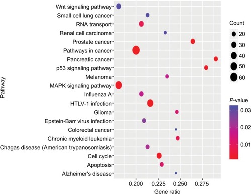 Figure 5 Kyoto Encyclopedia of Genes and Genomes pathway analysis of the predicted targets of the four miRNAs.Abbreviation: HTLV-1, human T lymphotropic virus type 1.