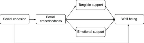 Figure 1 The proposed theoretical model linking social cohesion and well-being.