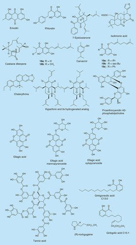Figure 6.  Plant-derived biofilm inhibitors.
