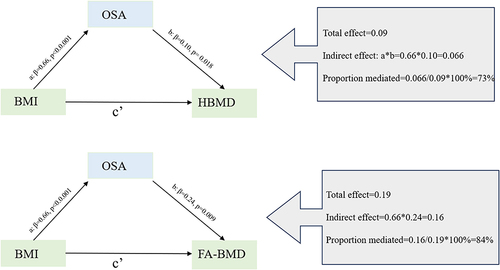 Figure 4 Network Mendelian randomization study regarding OSA is the mediator in the associations of BMI on FA-BMD and HBMD.