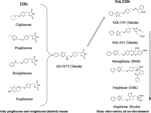 Figure 1. Insulin sensitizer families. The family pedigrees of both TZDs (left panel) and non-TZDs are shown. Ciglitazone was the first insulin sensitizer tested in clinical trials. Troglitazone, rosiglitazone, and pioglitazone are the only insulin sensitizers ever to be approved for treatment of type 2 diabetes. Representative non-TZDs are shown on the right side of the page. Most of these compounds were modeled after Takeda's AD-5075, which was the most potent of the original Takeda analogs at differentiating 3T3L1 preadipocytes Citation[9], each with various substitutions for the TZD ring. None of these compounds were ever approved. Aleglitazar was the most recently discontinued.