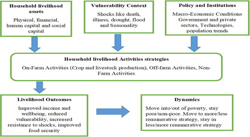 Figure 1. Sustainable livelihood framework (SLF). Source: Adopted from (Natarajan et al. (Citation2022); DFID, Citation1999).