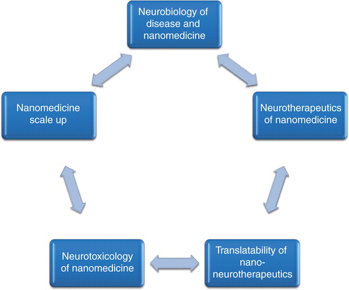 Figure 1. Flow of issues for nanomedicine development.