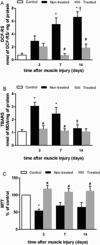 Figure 2. Effects of multiple cryotherapy applications performed during the destruction phase following cryolesion in the tibialis anterior (TA) muscle of rats on markers of reactive species production, oxidative damage, and cell viability, respectively: (a) dichlorofluorescein reactive substances (DCF-RS) levels; (b) thiobarbituric acid reactive substances (TBARS) levels; (c) methyl thiazol tetrazolium (MTT) reduction levels. Data are expressed as mean ± SD. *Differences when compared to control group (P < 0.05); #differences between the treated and non-treated groups at the same time point (P < 0.05); †different from the value at 3 days after muscle injury (P < 0.05).