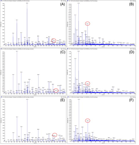 Figure 9. Molecular weight of the leave and stem extracts of ulmus species from Yanbian in China. (A) Sample 11 = leave and stem extracts of ulmus laciniata (trautv.) mayr. 1000 ppm. (B) Sample 13 = leave and stem extracts of ulmus pumila L. 1000 ppm. (C) Sample 14 = leave and stem extracts of ulmus macrocarpa hance 1000 ppm. (D) Sample 15 = the leave and stem extracts of ulmus japonica (rehd.) sarg. 1000 ppm. (E) Sample 16 = stem extracts of ulmus macrocarpa hance 1000 ppm. (F) Sample 17 = stem extracts of ulmus davidiana planch. 1000 ppm.