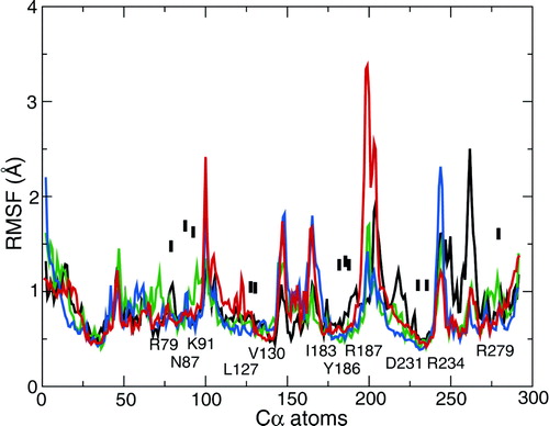 Figure S2.  Root mean square fluctuation (RMSF) of Cα atoms, averaged over the final 5 ns of each simulation. Black line = 1OKC; red line = 1OKC-W; green line = 1OKC-CATR; and blue line = 1OKC-CATR-W. The labels are of contacts between the protein and the CATR molecule.