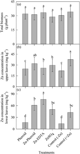 Figure 4. Effect of different sources of Zn and formulation on (a) total biomass (g plant−1), (b) Fe concentration in upper leaves (mg kg−1), and (c) Fe concentration in lower leaves (mg kg−1) of maize plants grown under hydroponic system.